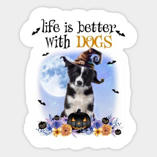 Border Collie Witch Hat Life Is Better With Dogs Halloween Sticker